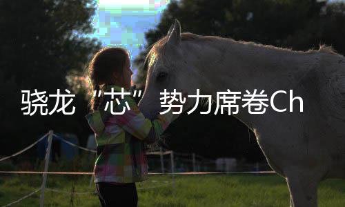 密码骁龙芯力席卷C局的技术域布全领势手机